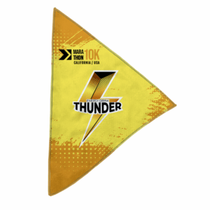 ProColor  Triangular Rally Flags